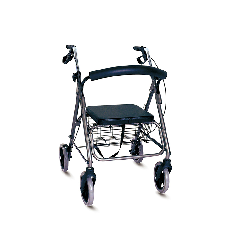 Nepostradateln&aacute; role chodců při zvyšov&aacute;n&iacute; mobility